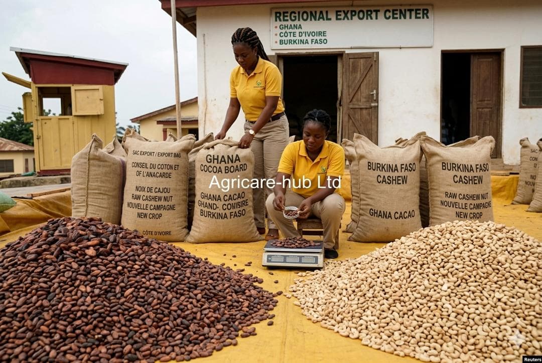 Heavy Duty Jute Sack